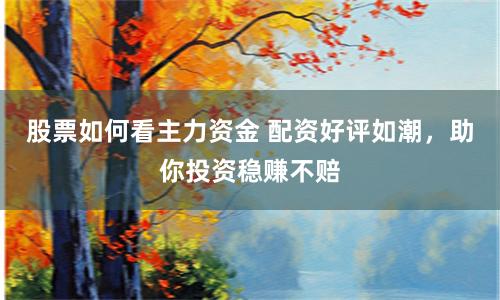 股票如何看主力资金 配资好评如潮，助你投资稳赚不赔